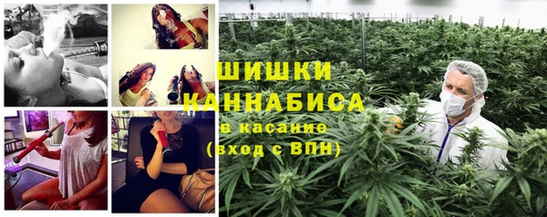 стафф Бронницы