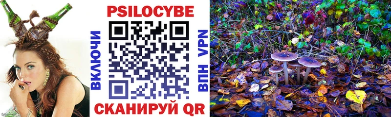 hydra   цены наркотик  Балаково  Галлюциногенные грибы MAGIC MUSHROOMS 